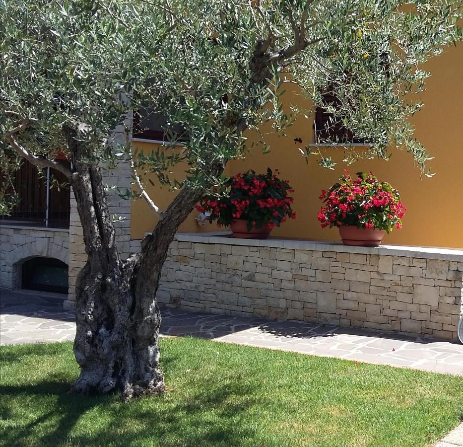 Studio Apartments Pinia-Marina Пореч Екстериор снимка
